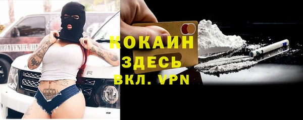 дурь Богданович