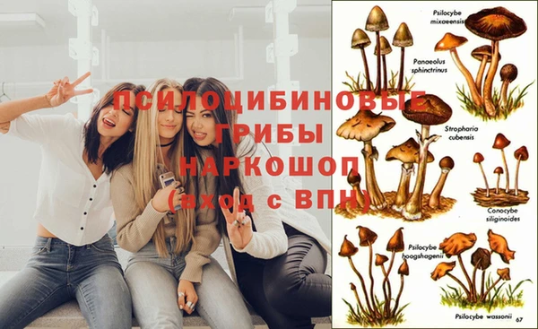 амф Богородицк