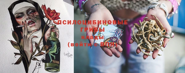 амф Богородицк