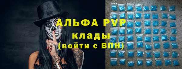 амф Богородицк