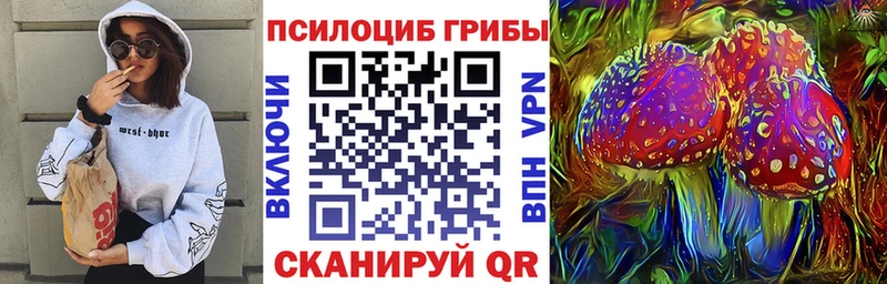 Псилоцибиновые грибы мицелий  Кочубеевское 