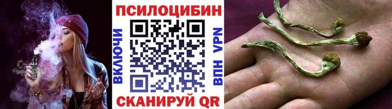 Галлюциногенные грибы Psilocybine cubensis Кочубеевское